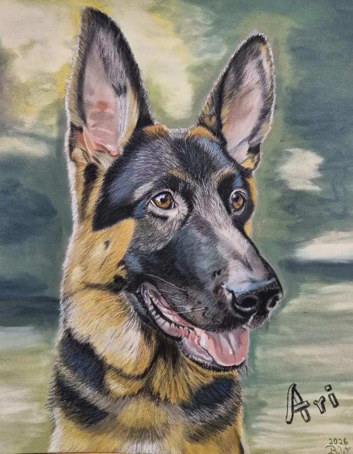 Pastellportrait des Deutschen Schäferhundes Ari vor grünlich verwaschenem Hintergrund