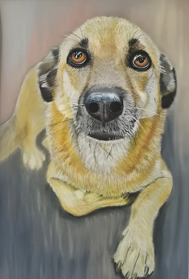 Pastellportrait eines hellbraunen Hundes, der mit großen braunen Augen nach oben schaut