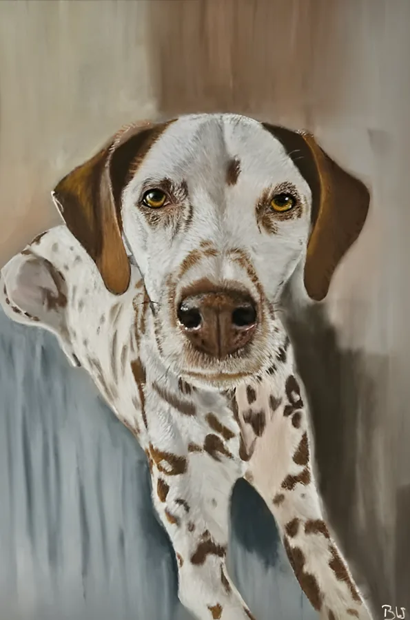 Pastellportrait eines weiß-braun gefleckten Hundes mit hängenden braunen Ohren