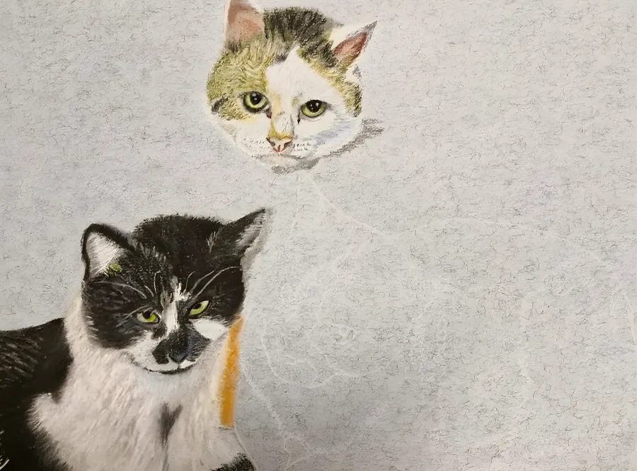 Pastellzeichnung von zwei Katzen auf grauem Papier, die obere Katze ist erst als Kopf angelegt